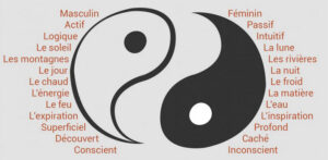 Le Yin et le Yang : différents mais parfaitement complémentaires