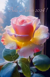 Belle Année 2024 !