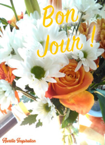 Bon Jour, Belles Âmes !