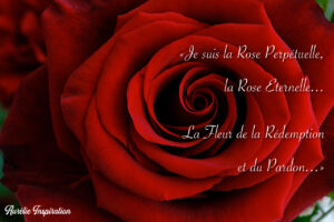 Je Suis la Rose Eternelle...