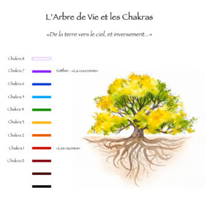 L'Arbre de Vie en nous, et nos chakras