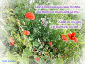 Ecoute-toi et laisse ton âme agir !