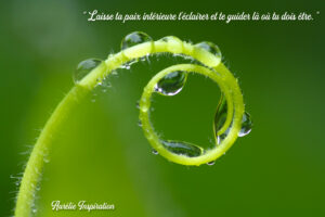 Rester en paix avec soi-même...