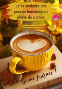 Accueil, détente, côté solaire du vendredi