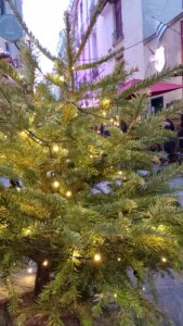 Sapin illuminé dans les rues de Nantes pour Noël 2024