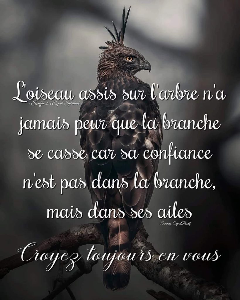 Être à l'image de l'Aigle