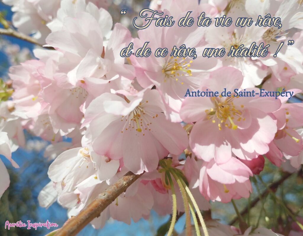 Vœu pour le printemps 2026 ?